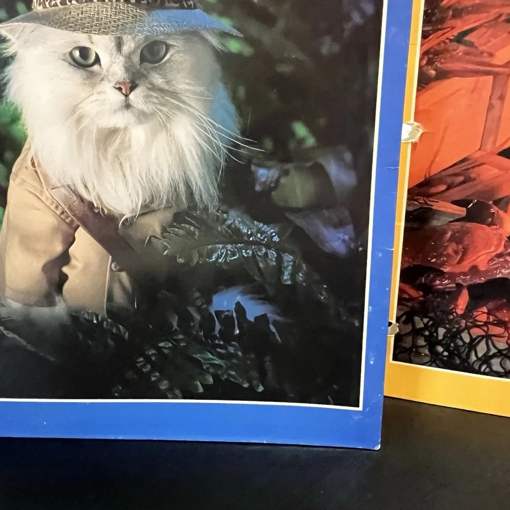 Vintage Cat Folders Stuart Hall 1993 Kittens Animal School Supplies 90s Retro